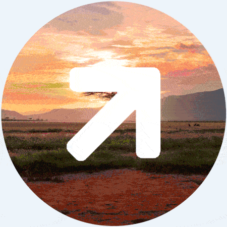 TPG gif