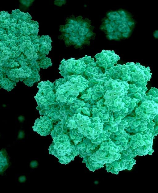 Norovirus is on the rise in 2025 – here's how to protect yourself when you cruise
