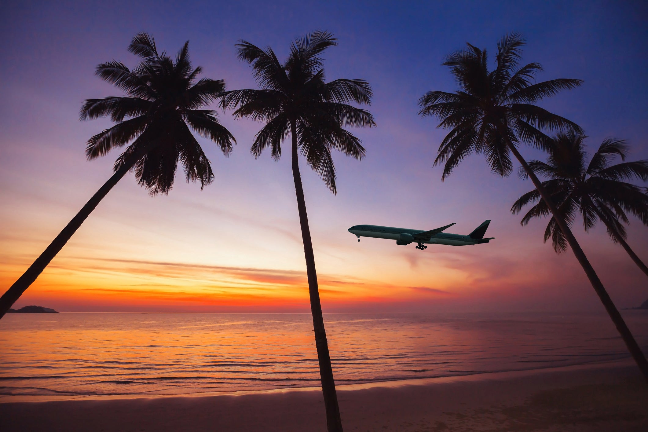 flight to exotic travel destination